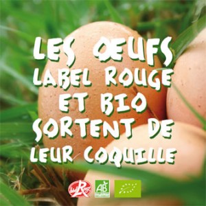 DP_oeuf LR et bio sortent de leur coquille_2012