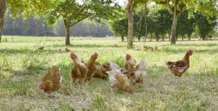 230606-LABEL ROUGE-67